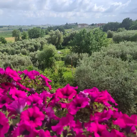 Agnese Dolce Agnese Holiday home Lamporecchio